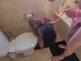 Human toilet indian slattern get pissed on and get her head flushed followed by sucking manhood