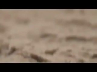Avalik täiskasvanud video pidu juures a ihualasti rand
